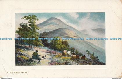 R050872 The Grampians Wildt and Kray 1908