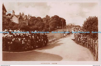R234637 Shanklin Green