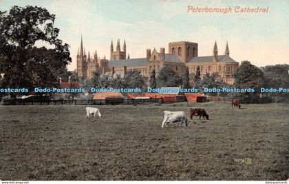R269424 Peterborough Cathedral Valentines Series
