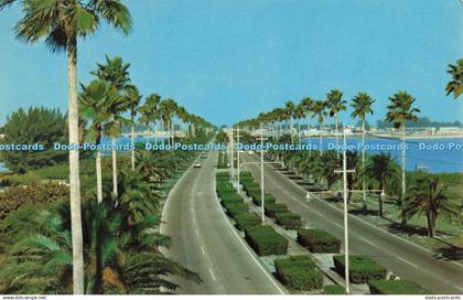 R685061 Florida. Looking Westward Over Clearwater Magnificent Memorial Causeway