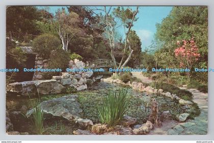 R784862 Austin Texas Zilker Gardens Hamilton Azalea Memorial Garden Austin News