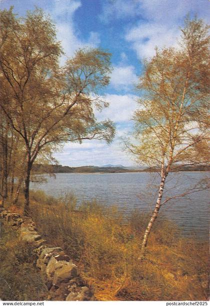 uk33910 loch ken kirkcudbrightshire  scotland  uk