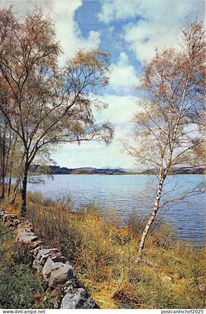 uk46231 loch ken  galloway Kirkcudbrightshire scotland uk