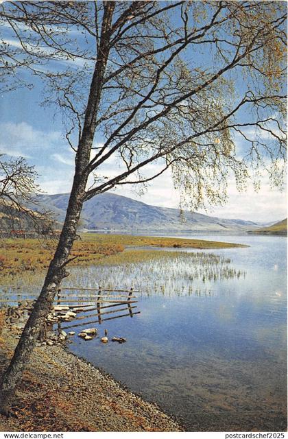 uk46892 st marys loch Selkirkshire scotland uk