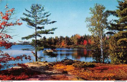 US4990 Canada Ontario Famous Sherwood Inn Glen Orchard Muskoka