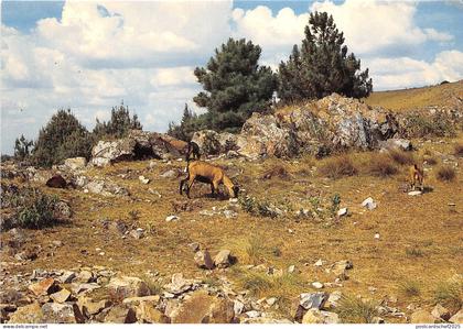 us8162 source du nil burundi