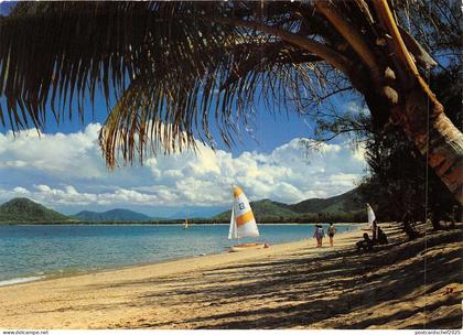 us8212 palm cove beach cairns