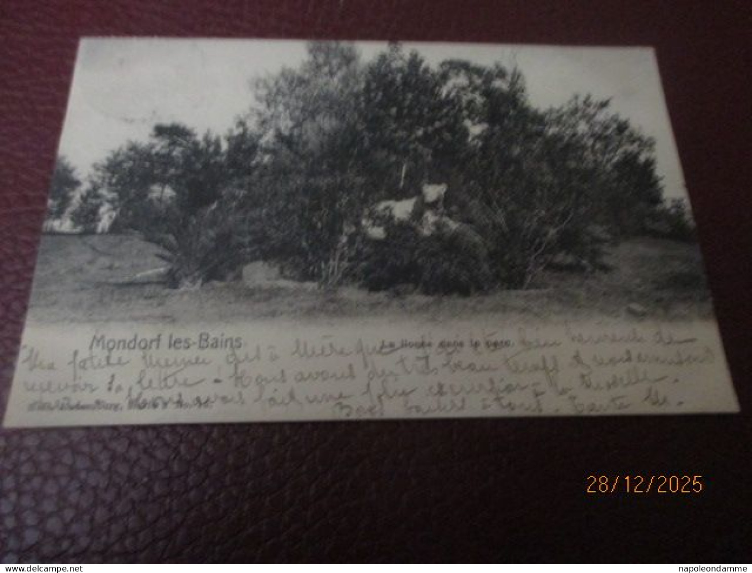 Mondorf les Bains,