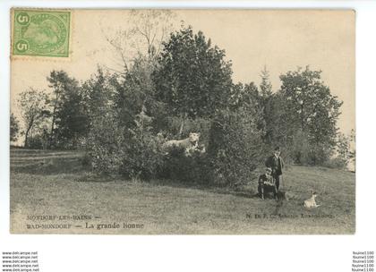 MONDORF LES BAINS / BAD MONDORF la grande lionne