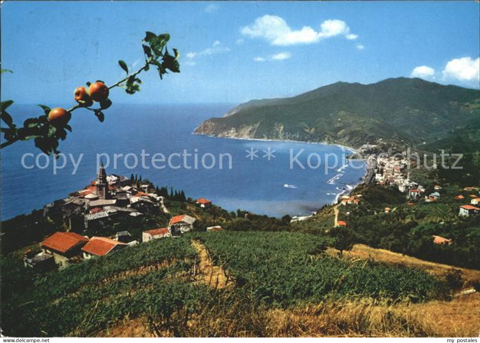 Moneglia Liguria Panorama