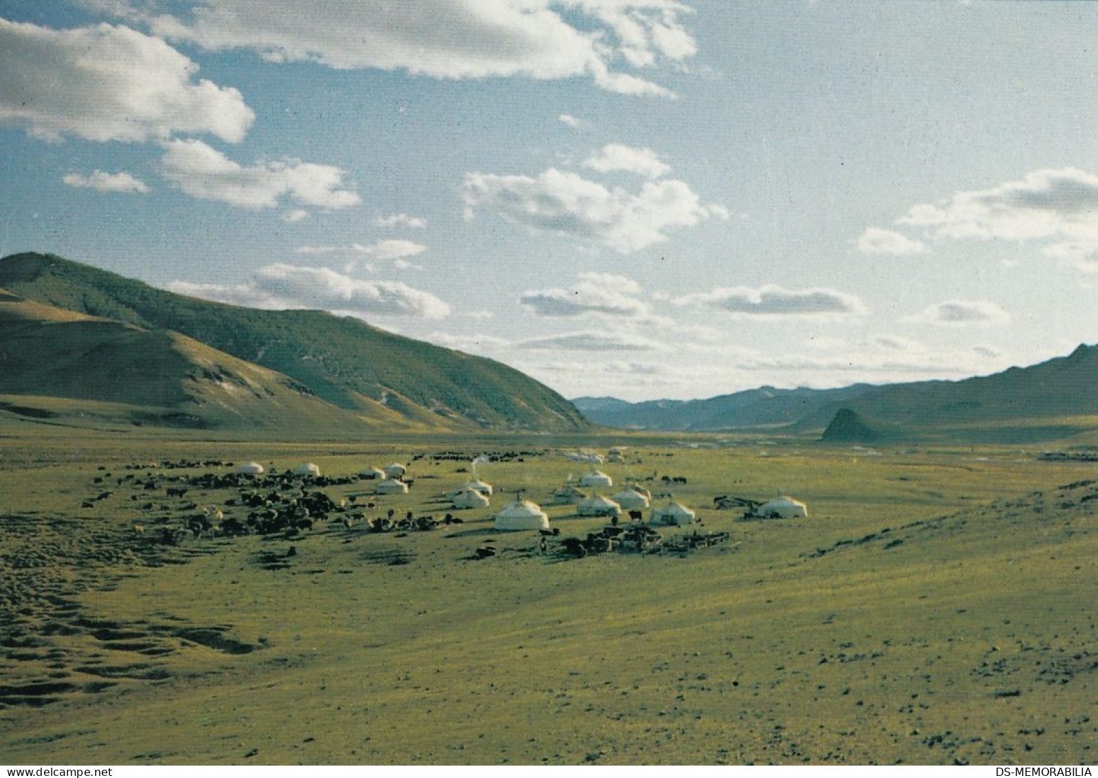 Mongolia - Zabhan Aimak , Agricultural camping