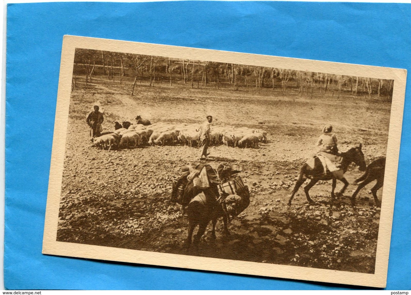 MONGOLIE-dans les steppes missionaires à cheval-troupeau  de moutons et mongols -années 20-édition Aulard