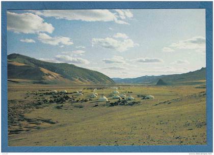 215188 / AN AGRICULTURAL CO-OPERATIVE CAMPING , ZABHAN AIMAK , Mongolia Mongolei Mongolie