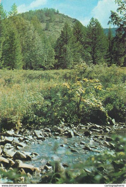 Mongolia postcard 1979