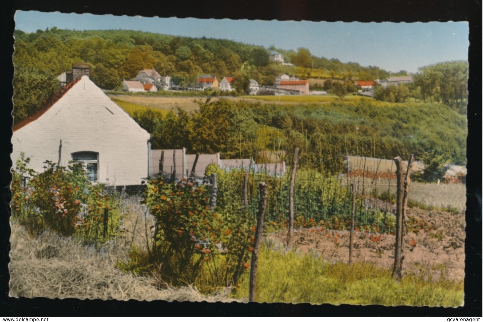 MONT DE L'ENCLUS.   VALLEE