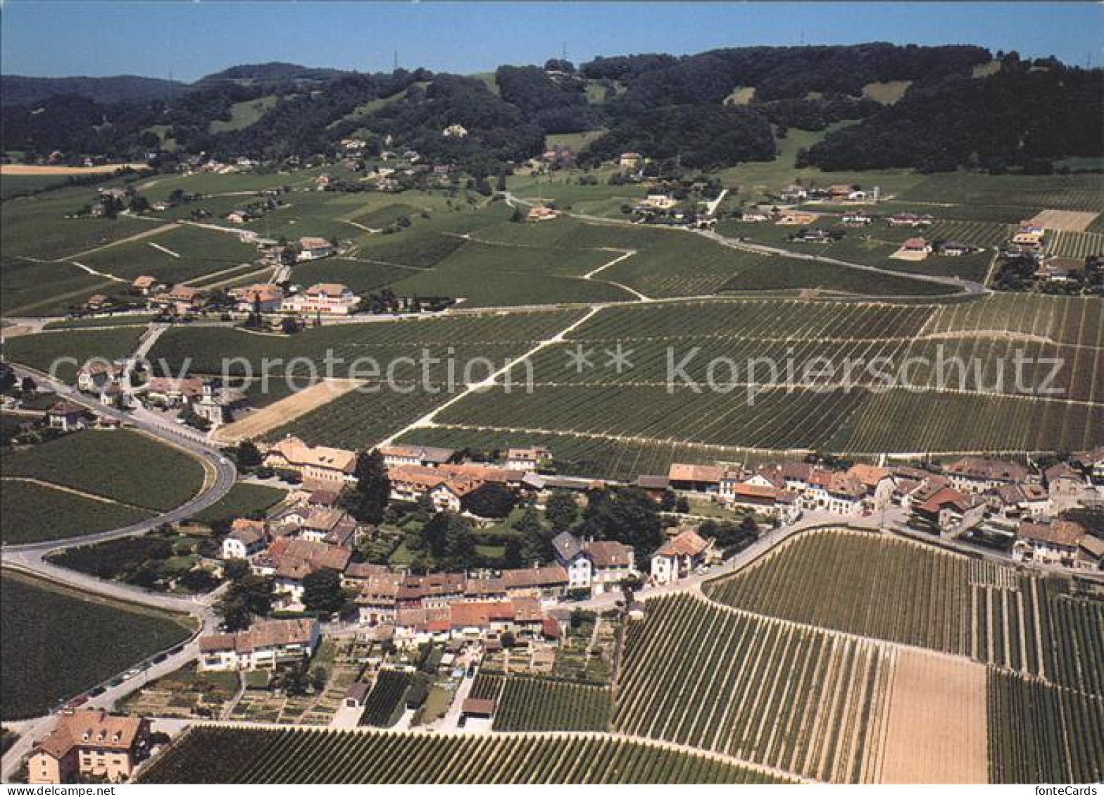 Mont-sur-Rolle
