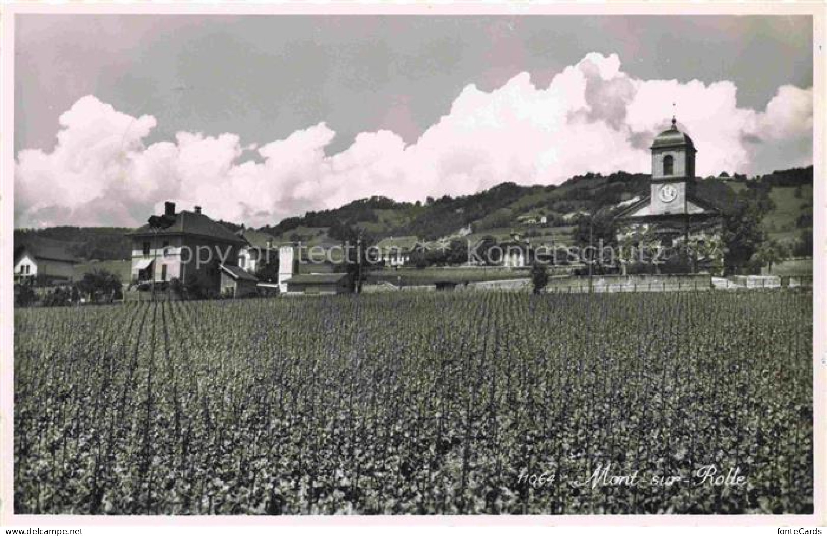 Mont-sur-Rolle VD Blick ueber die Felder zur Kirche