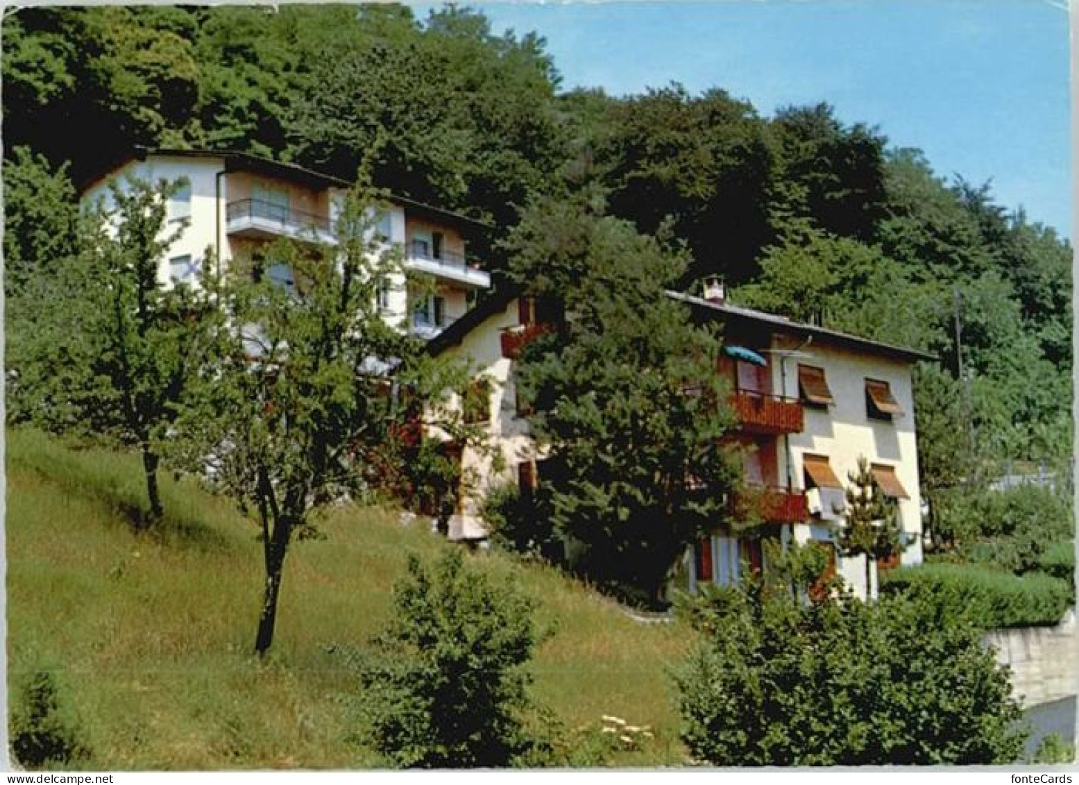 Montagnola