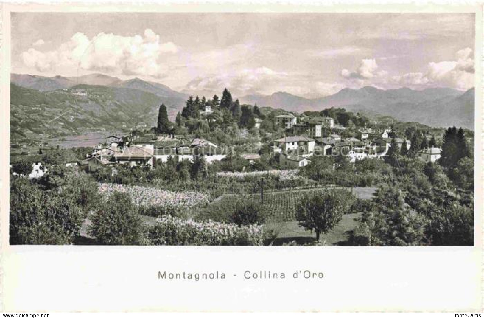 Montagnola LUGANO TI Collina-d Oro Dorf Berge Weinberge Gaerten Panorama Baeume