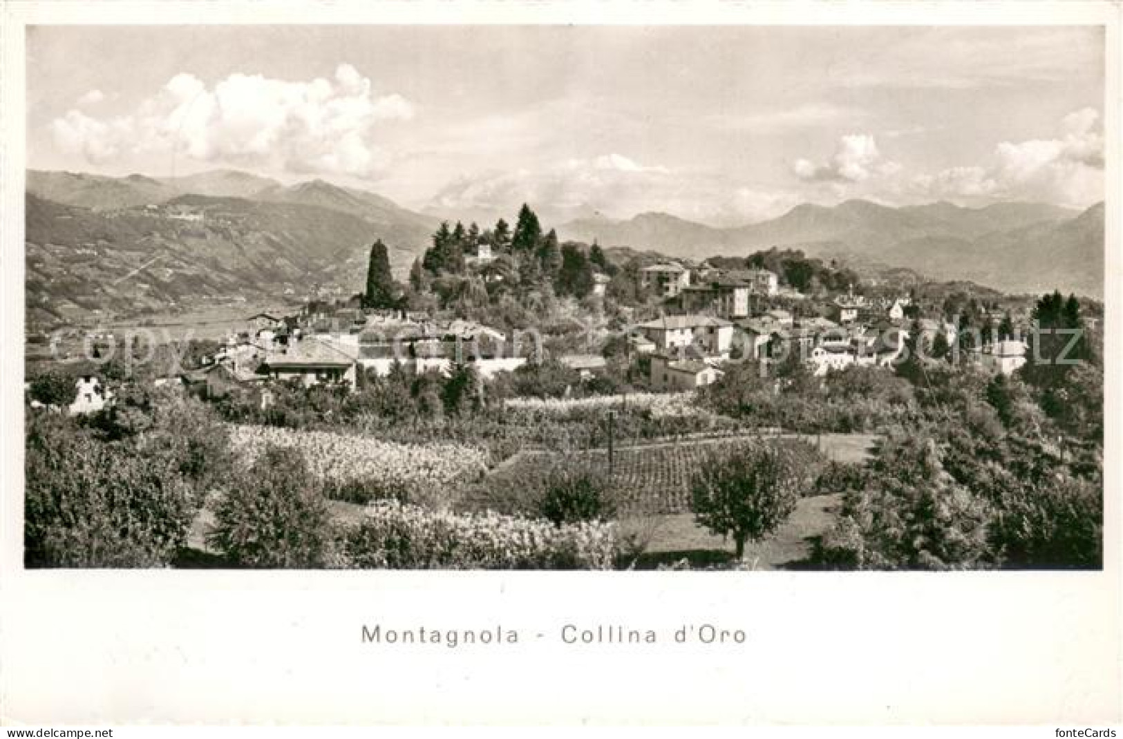 Montagnola TI Collina d Oro