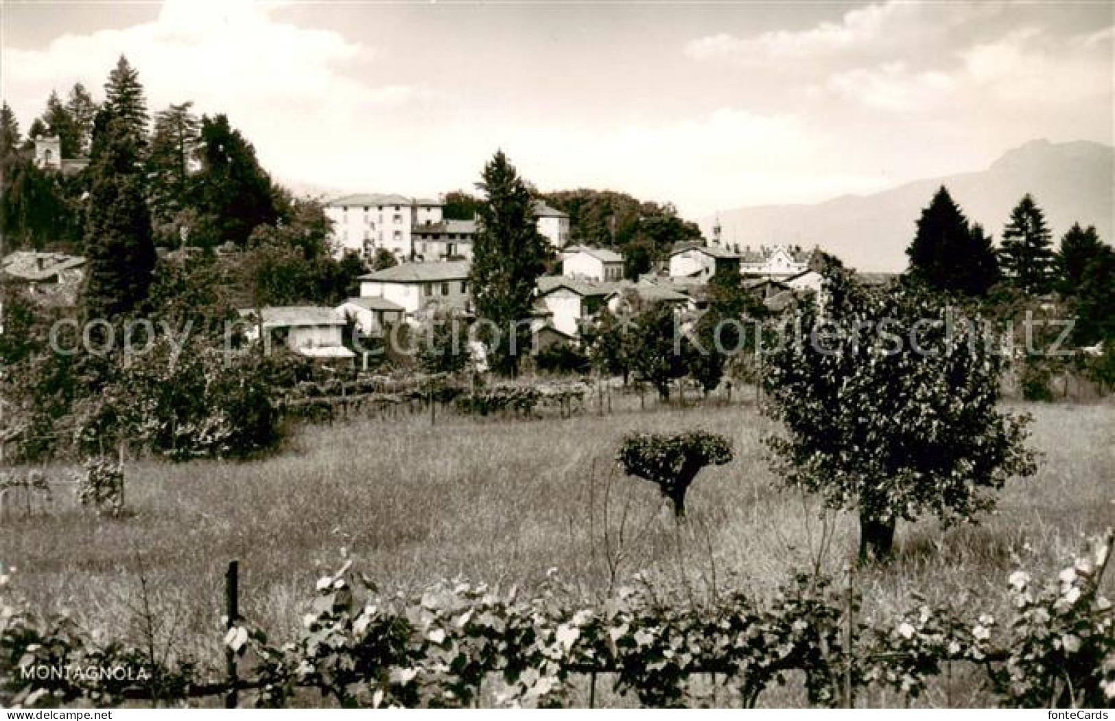 Montagnola TI Vicino Lugano Collina d Oro
