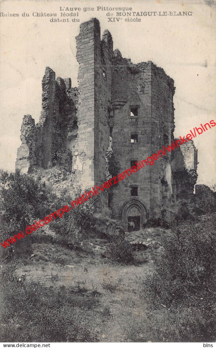 Montaigut-le-Blanc - Ruines du Château féodal - Montaigut - (63) Puy-de-Dôme