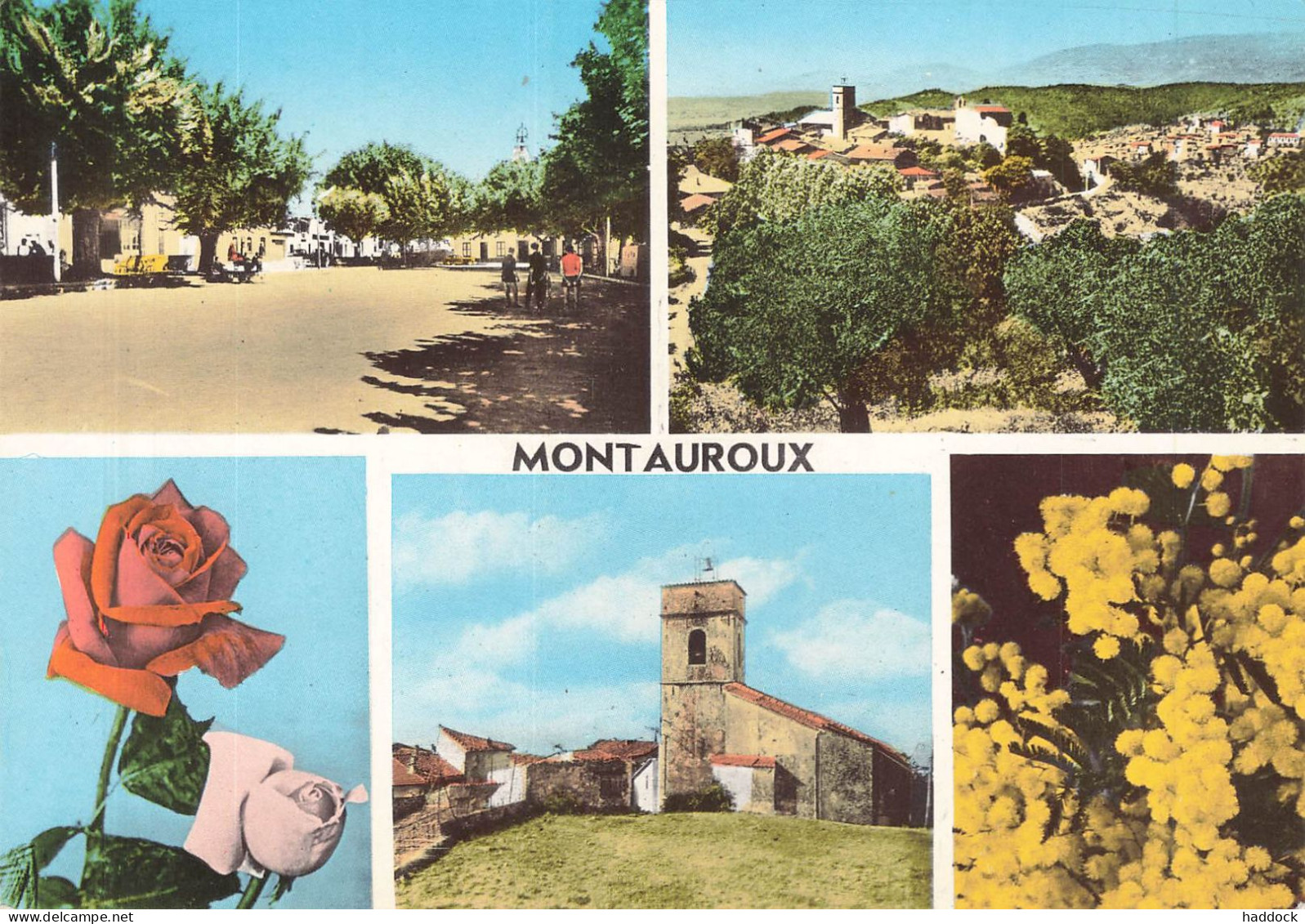 MONTAUROUX : MULTIVUES