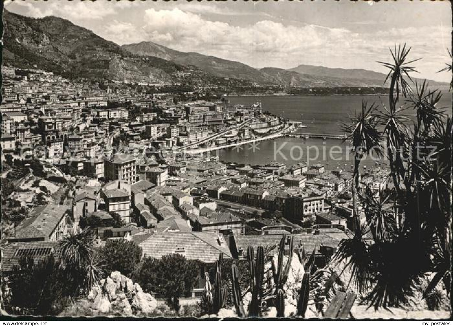 Monte-Carlo Cote Azur Jardin Exotique