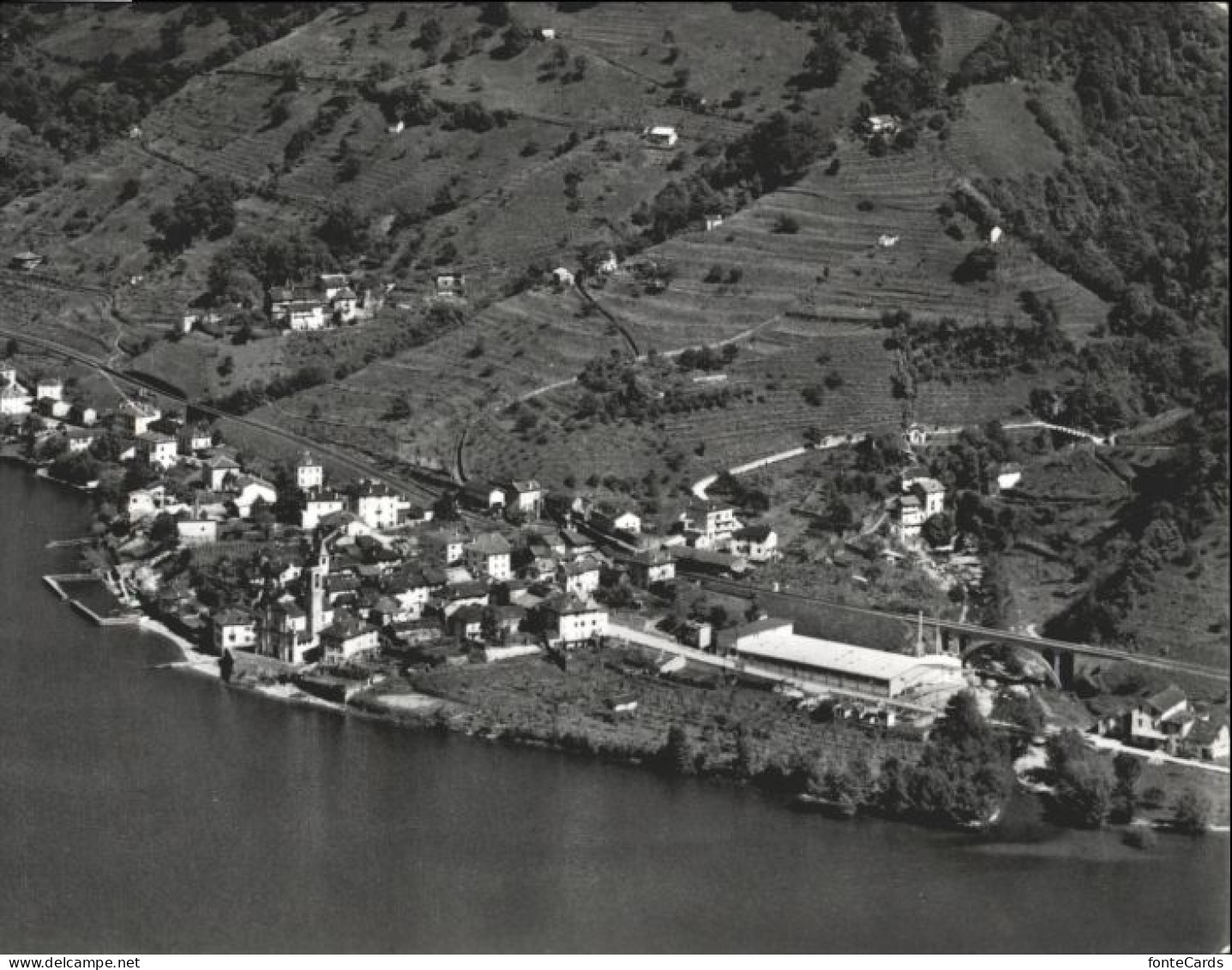 Monte Gambarogno Fliegeraufnahme