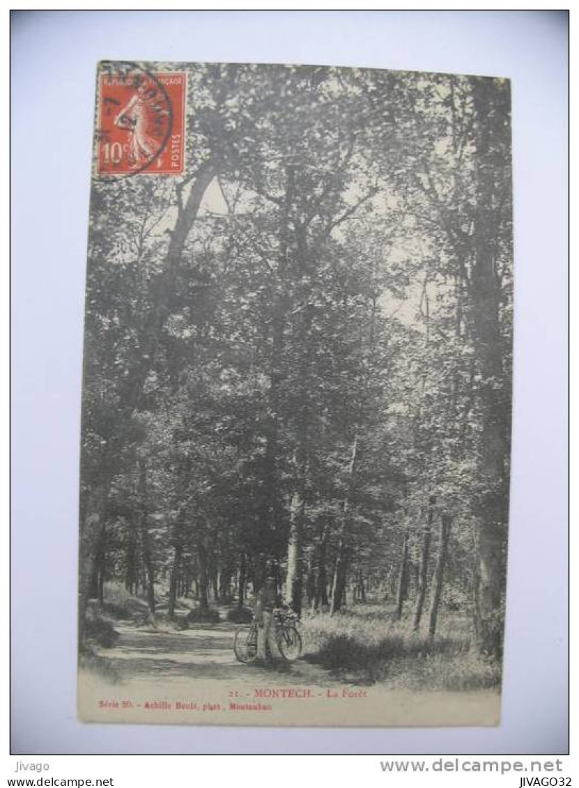 MONTECH  :  La Forêt  -  Petite animation