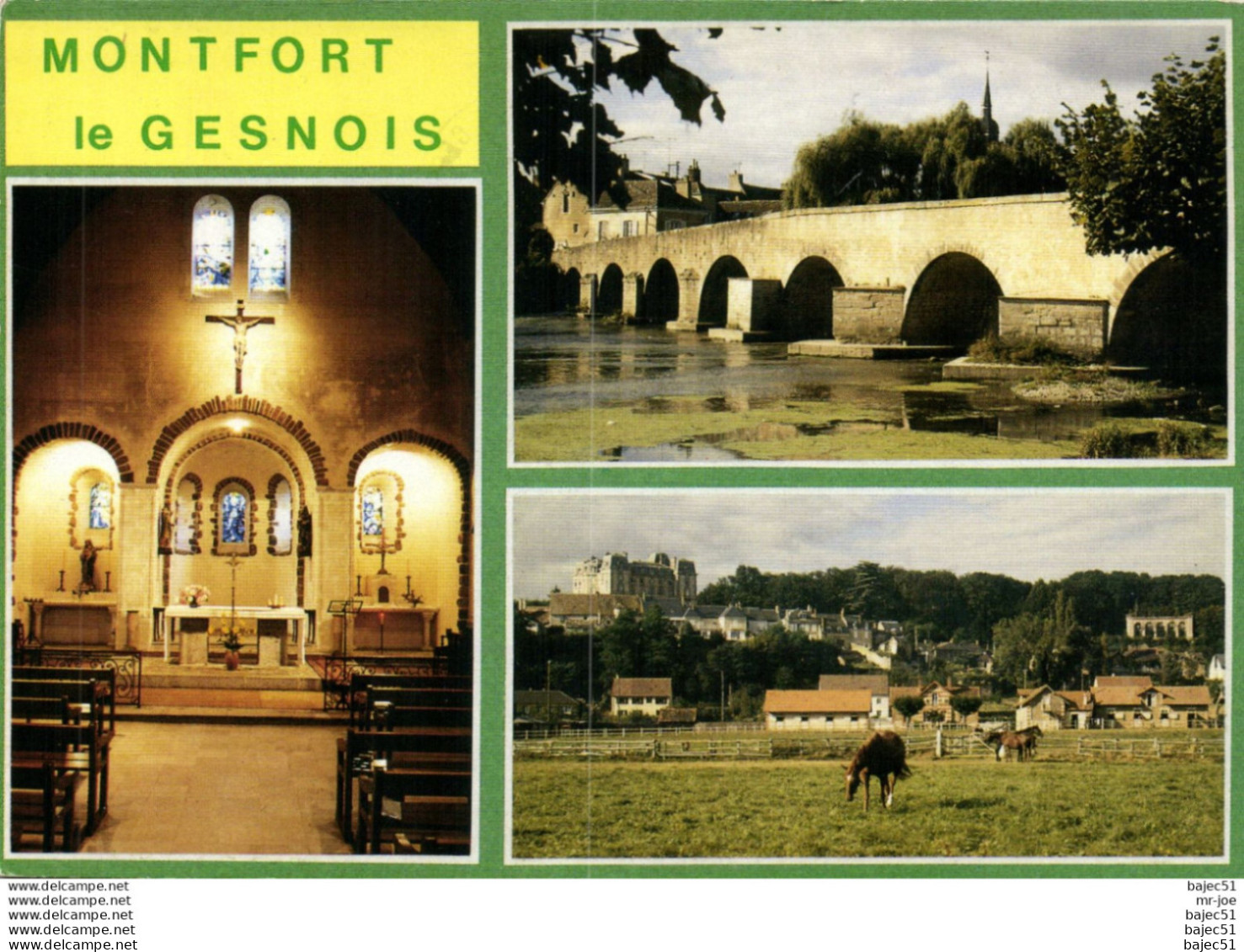 Montfort le Gesnois "multi vues"