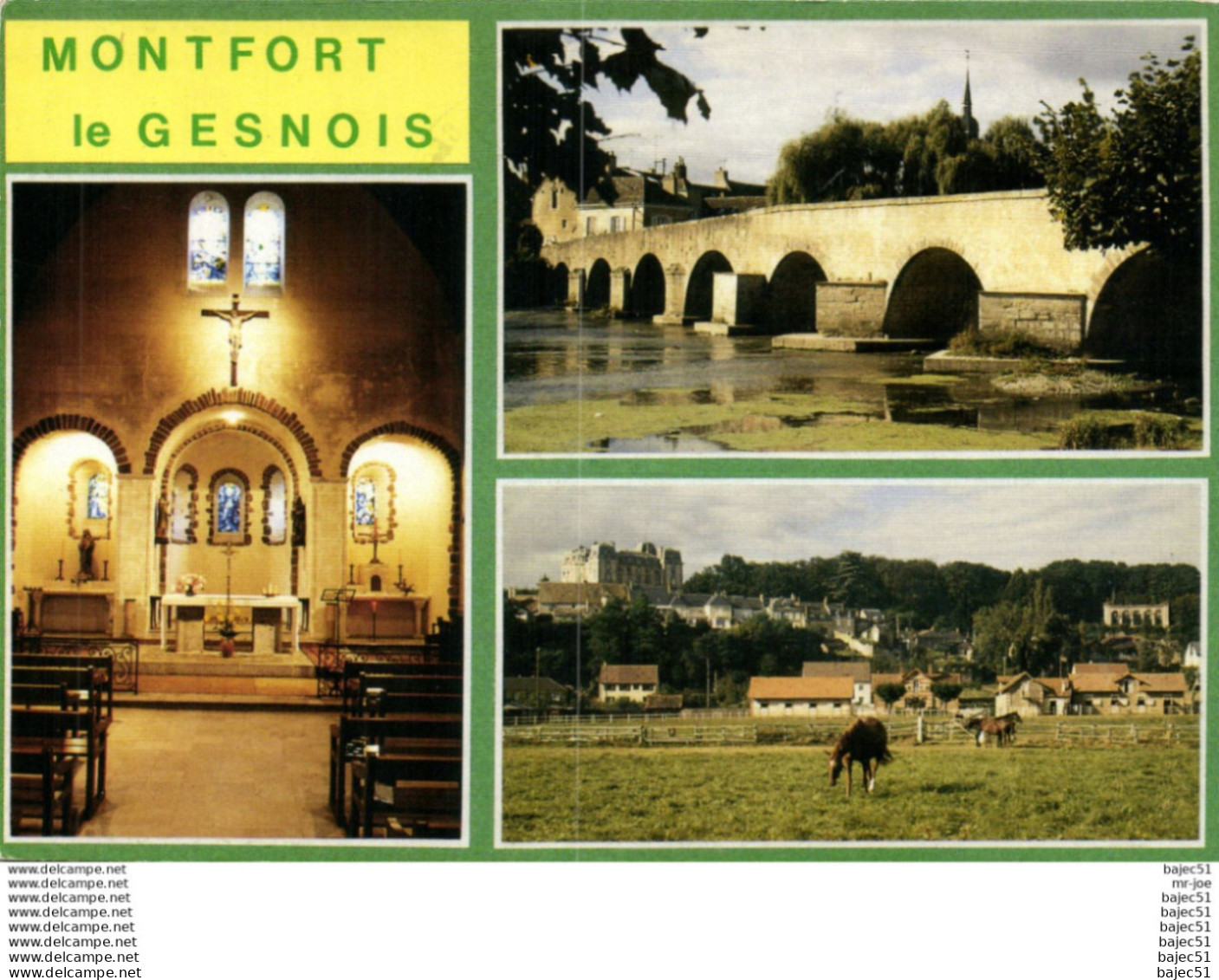 Montfort le Gesnois "multi vues"