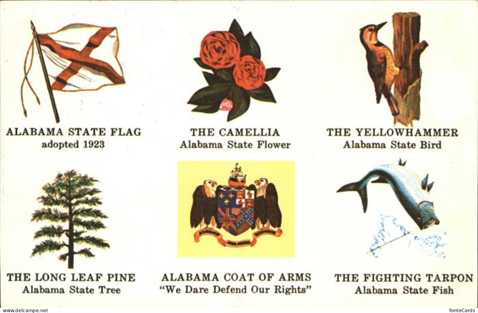 Montgomery Alabama ---