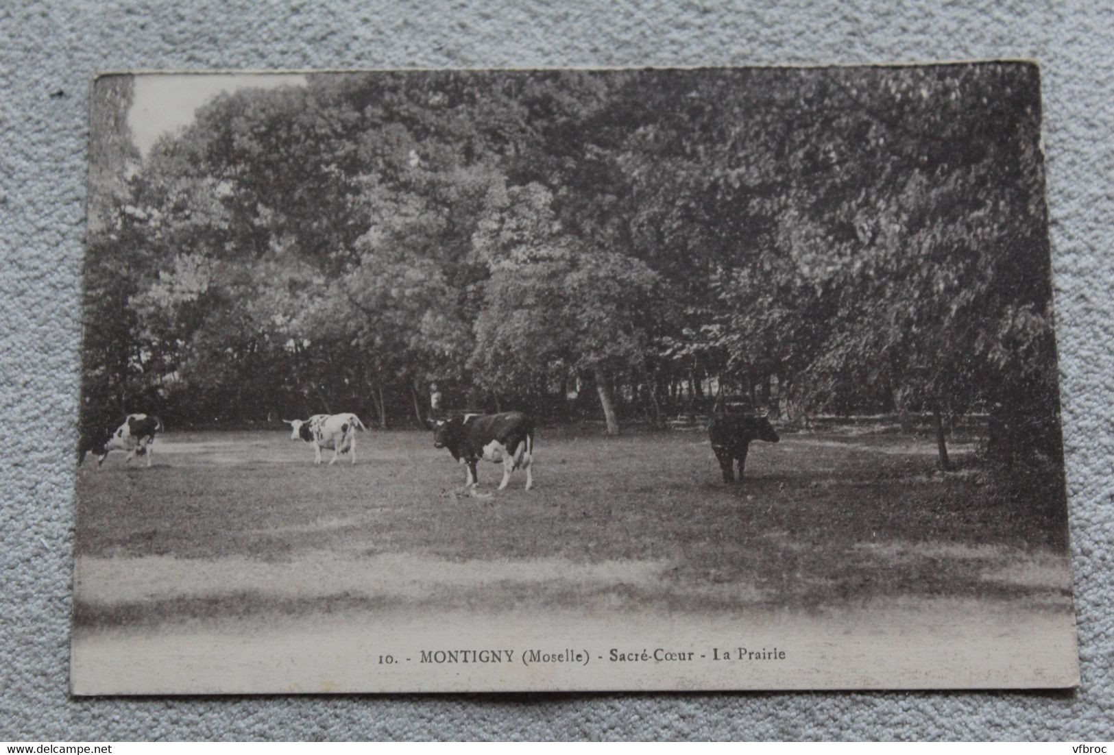 Montigny, sacré coeur, la prairie, Moselle 57