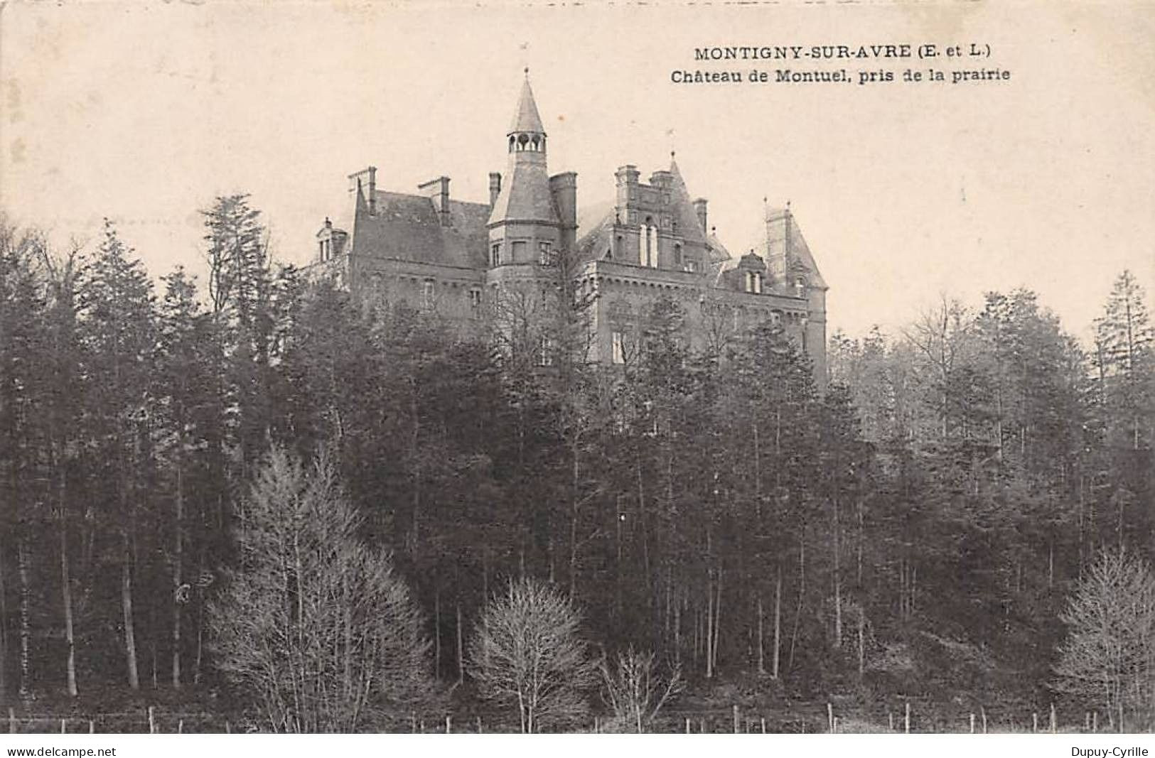 MONTIGNY SUR AVRE - Château de Montuel - état