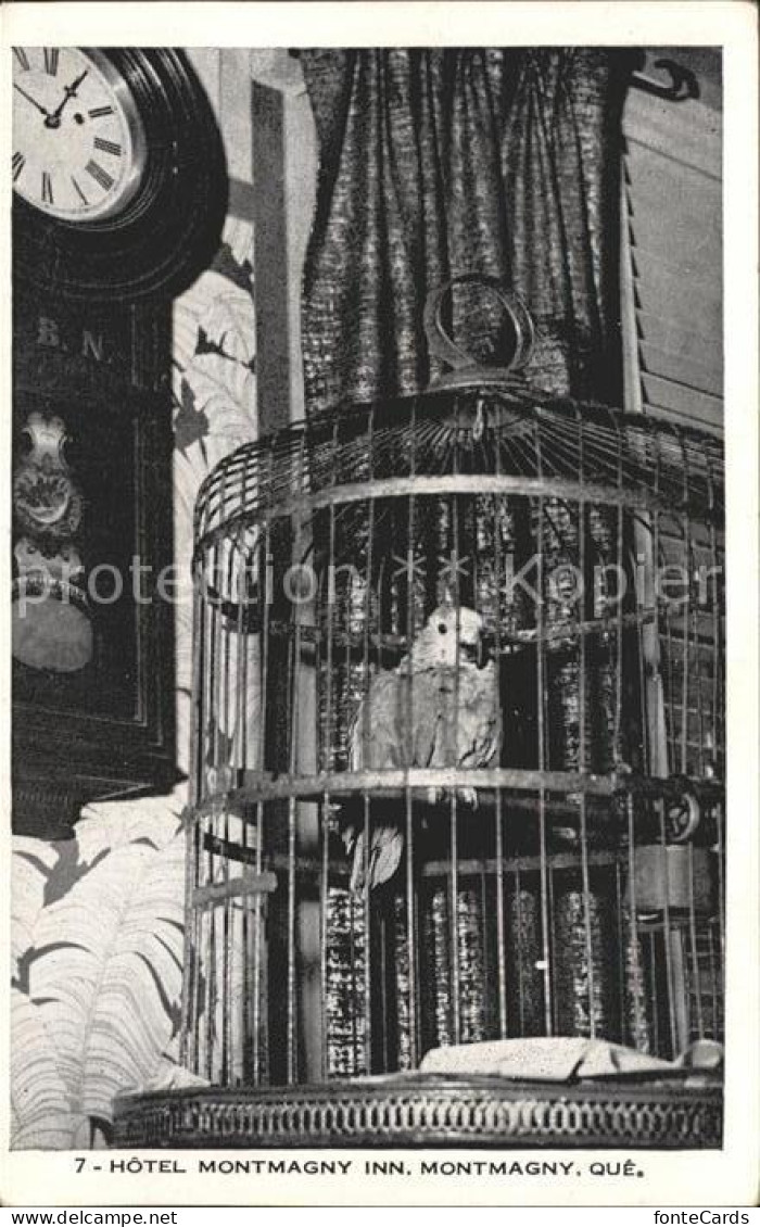 Montmagny Canada Vogelkaefig im Hotel Montmagny Inn