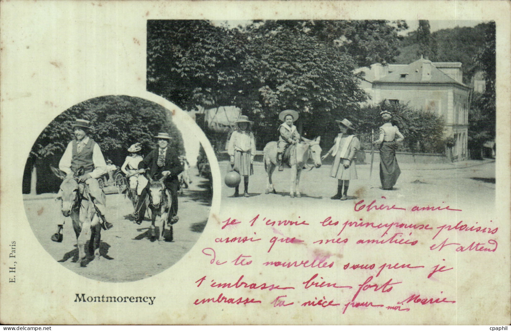 Montmorency CPA Ane donkey
