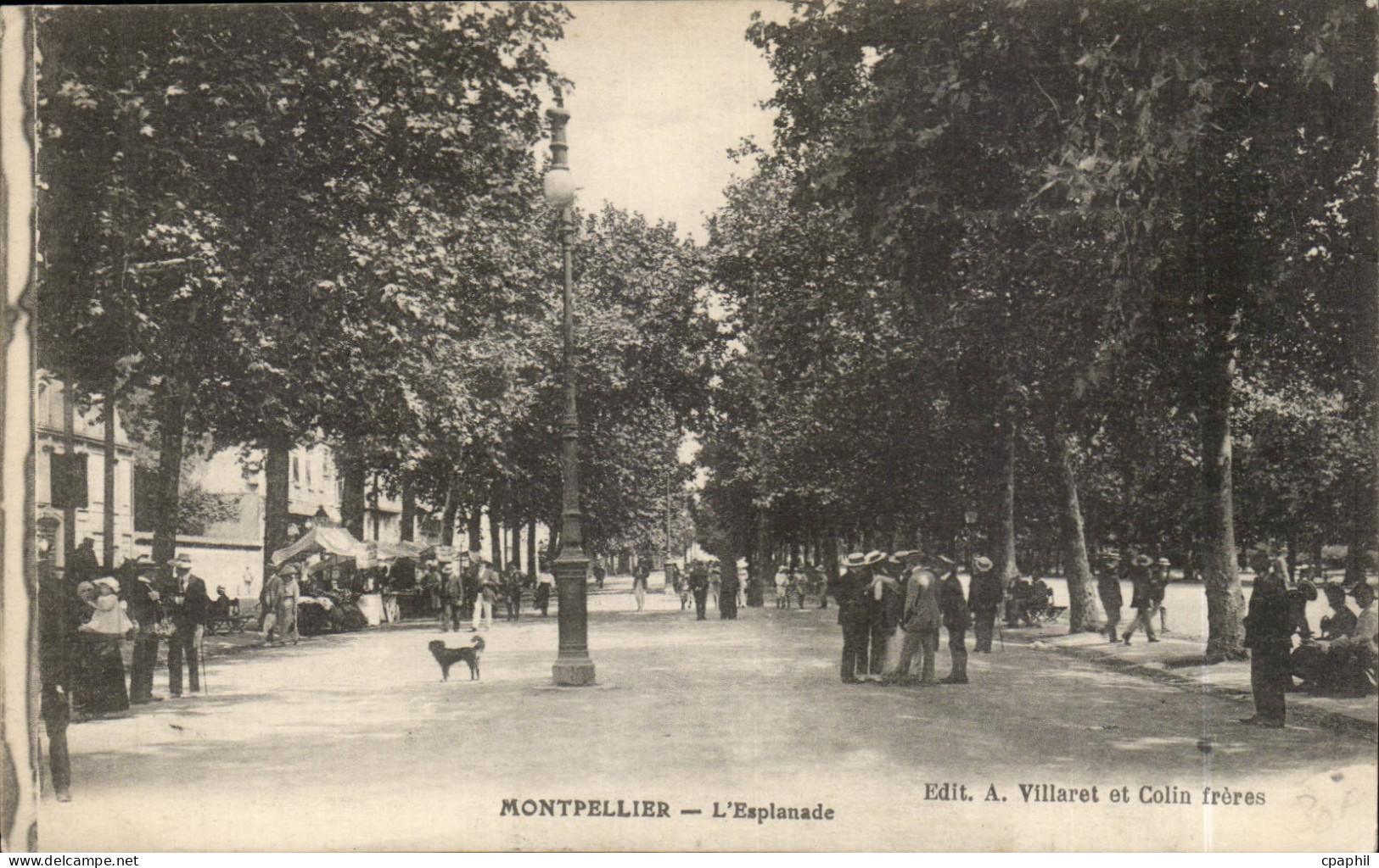 Montpellier CPA L'esplanade