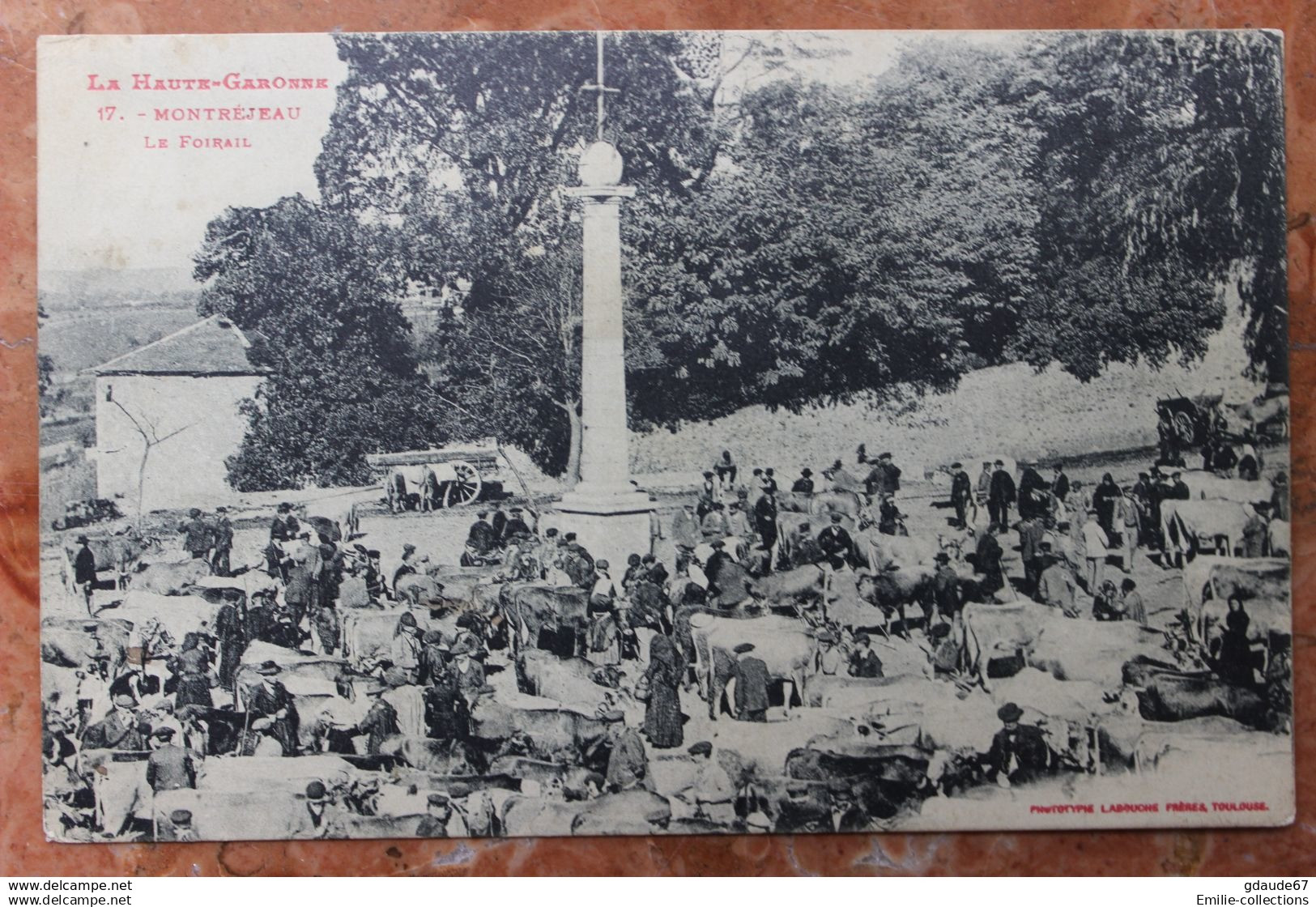 MONTREJEAU (31) - LE FOIRAIL