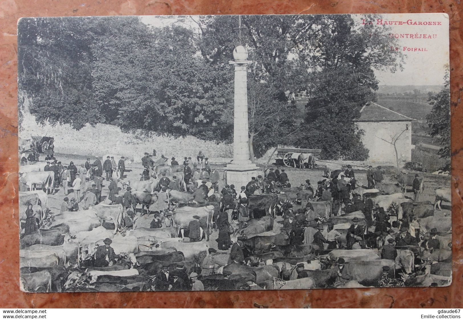 MONTREJEAU (31) - LE FOIRAIL