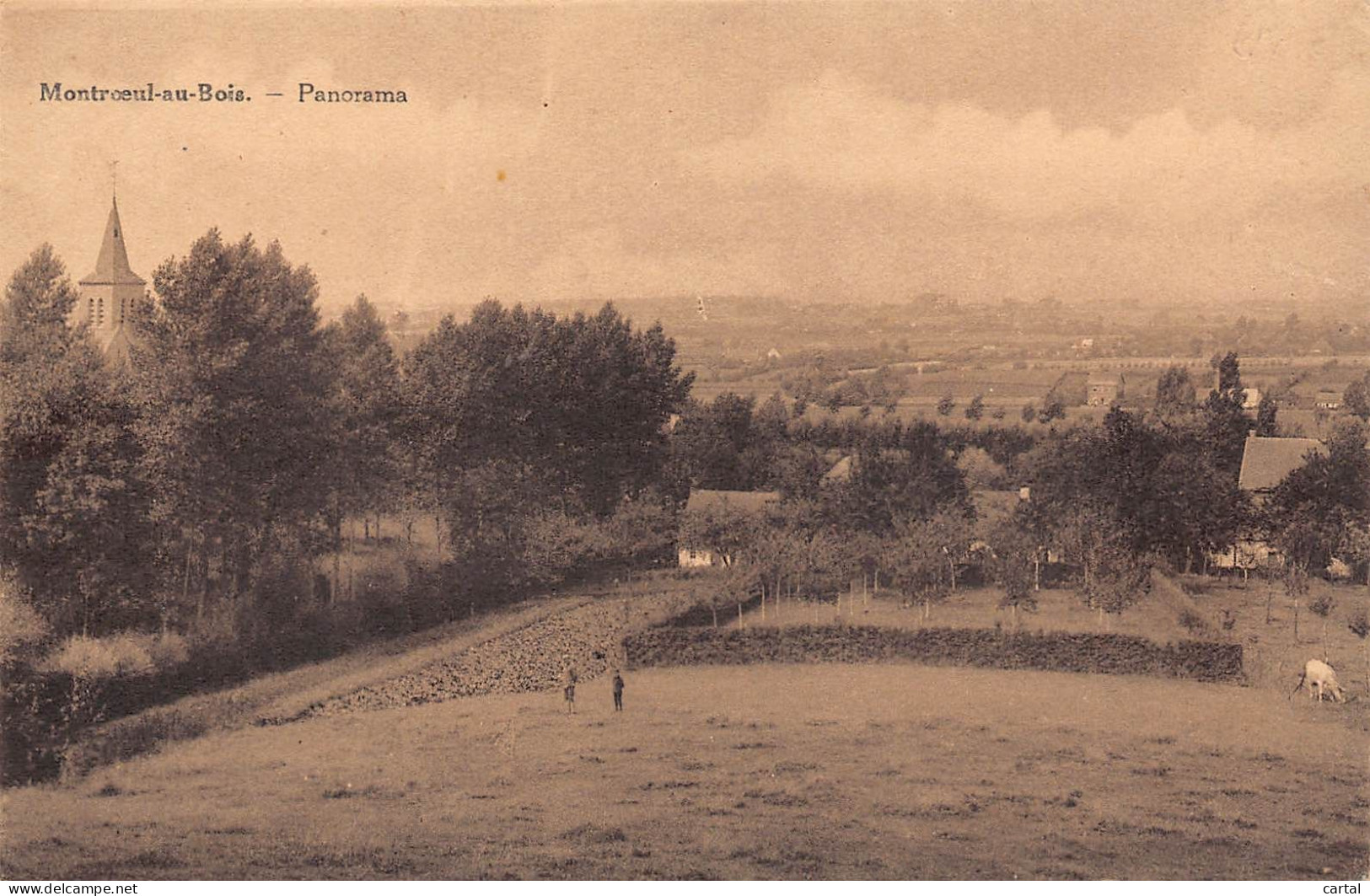 MONTROEUL-au-BOIS - Panorama