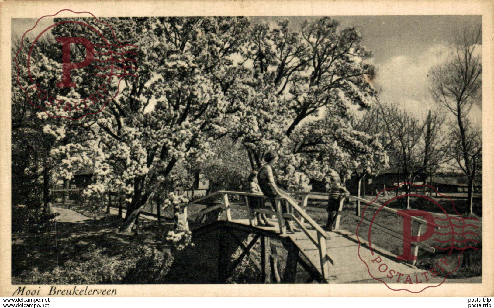 Mooi Breukelerveen Kinderen op de houten brug Voorjaar Spring Breukelen Utrecht HOLLAND HOLANDA NETHERLANDS