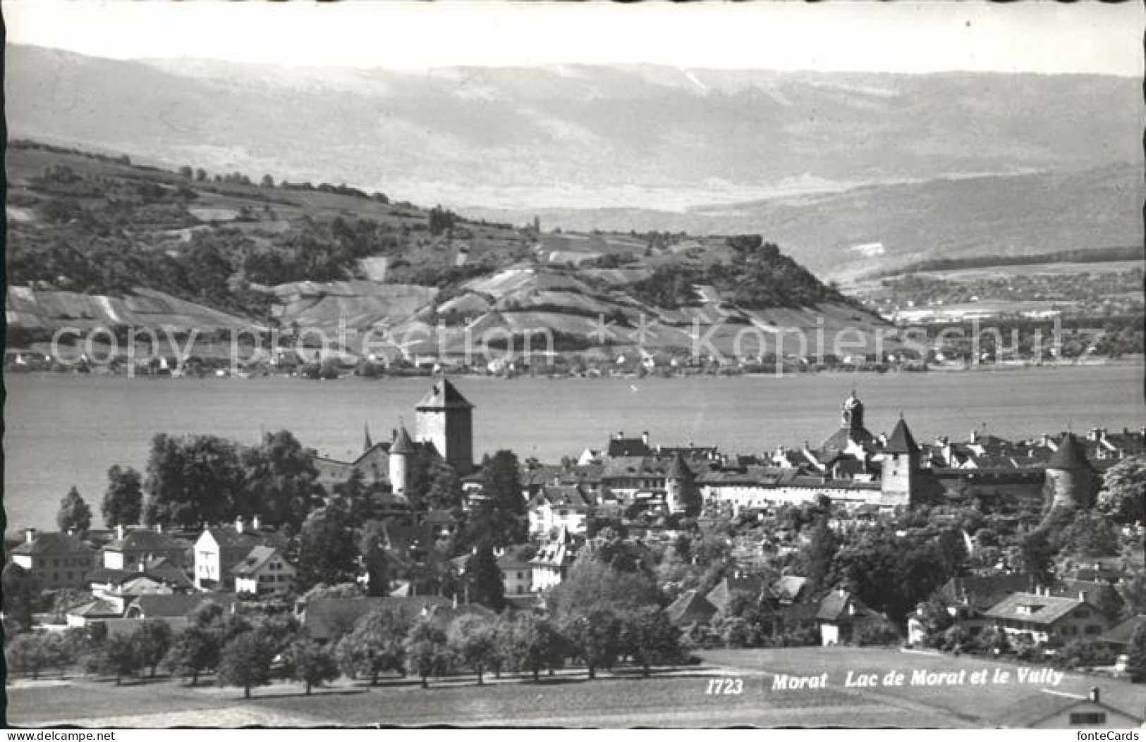 Morat Murten Lac de Morat et le Vully