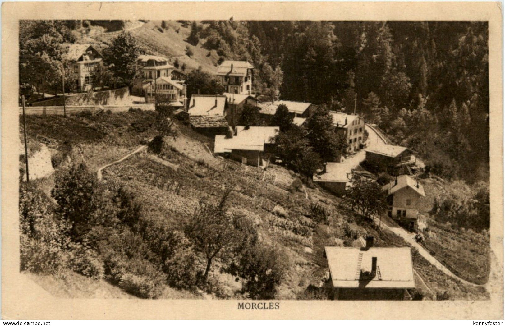 Morcles