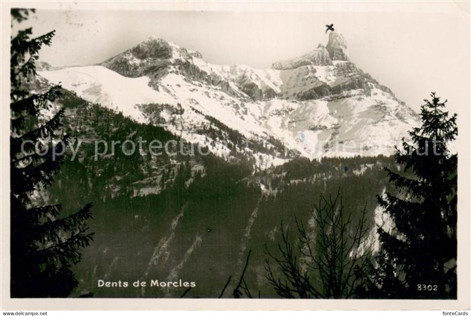 Morcles VD Dents de Morcles