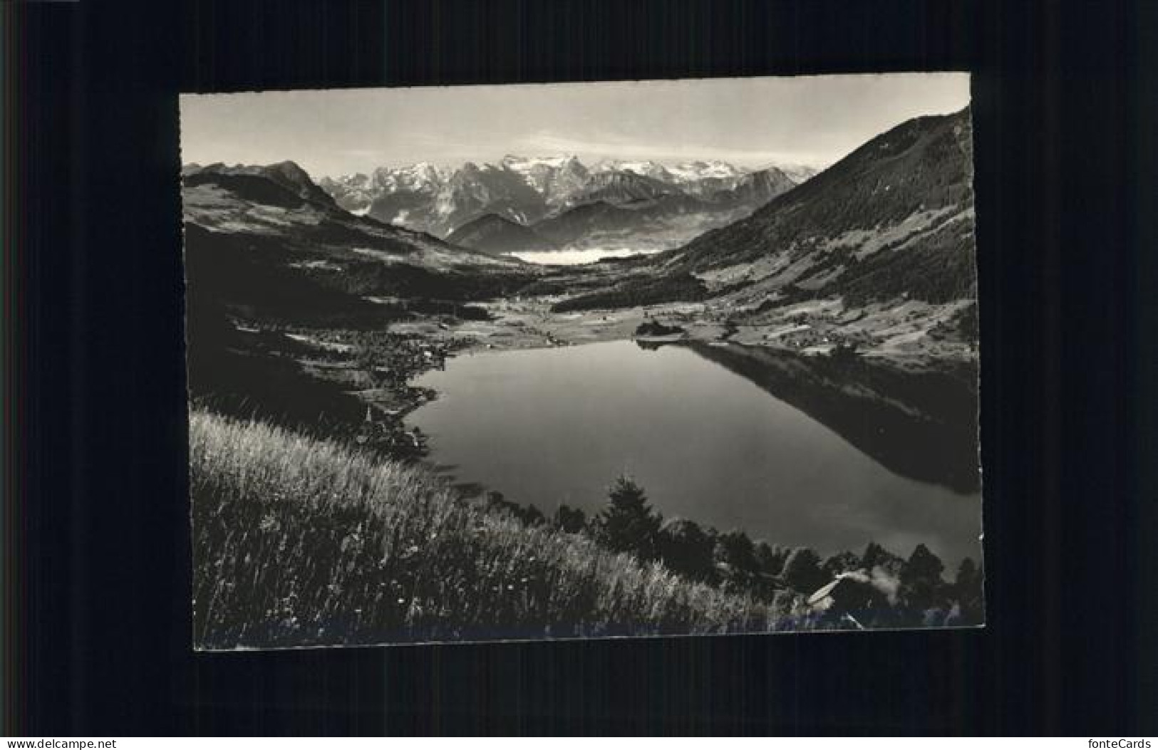 Morgarten aegerisee Sattel Urirotstock