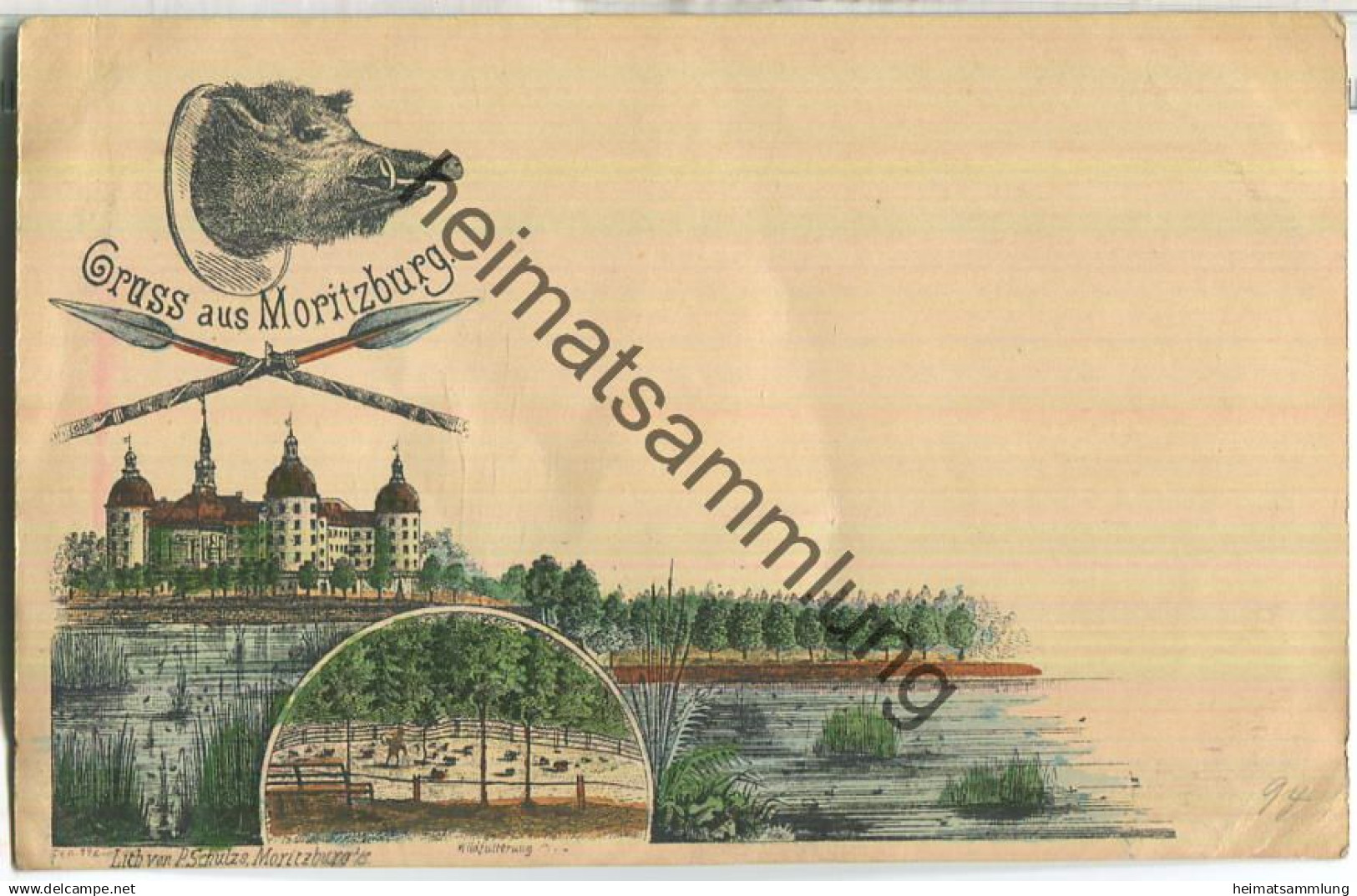 Moritzburg - Jagdschloss - Wildfütterung - Verlag P. Schulze Moritzburg