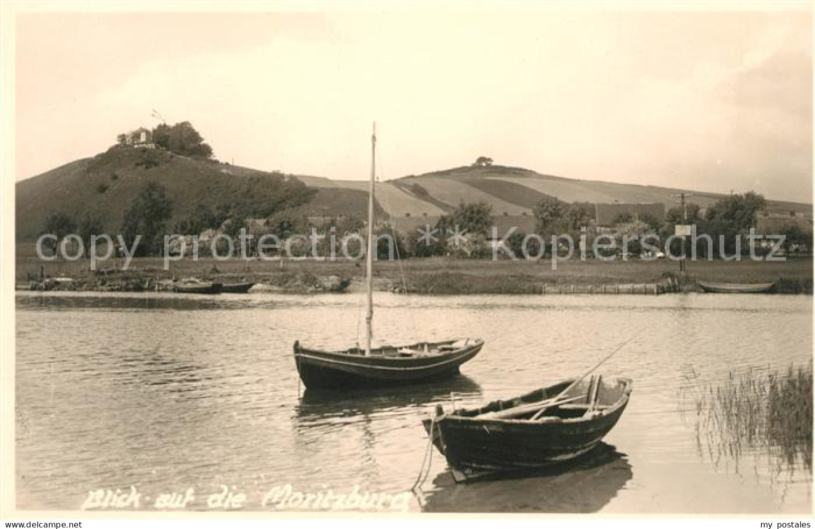 Moritzburg Sachsen Blick auf die Moritzburg Elbe Boot