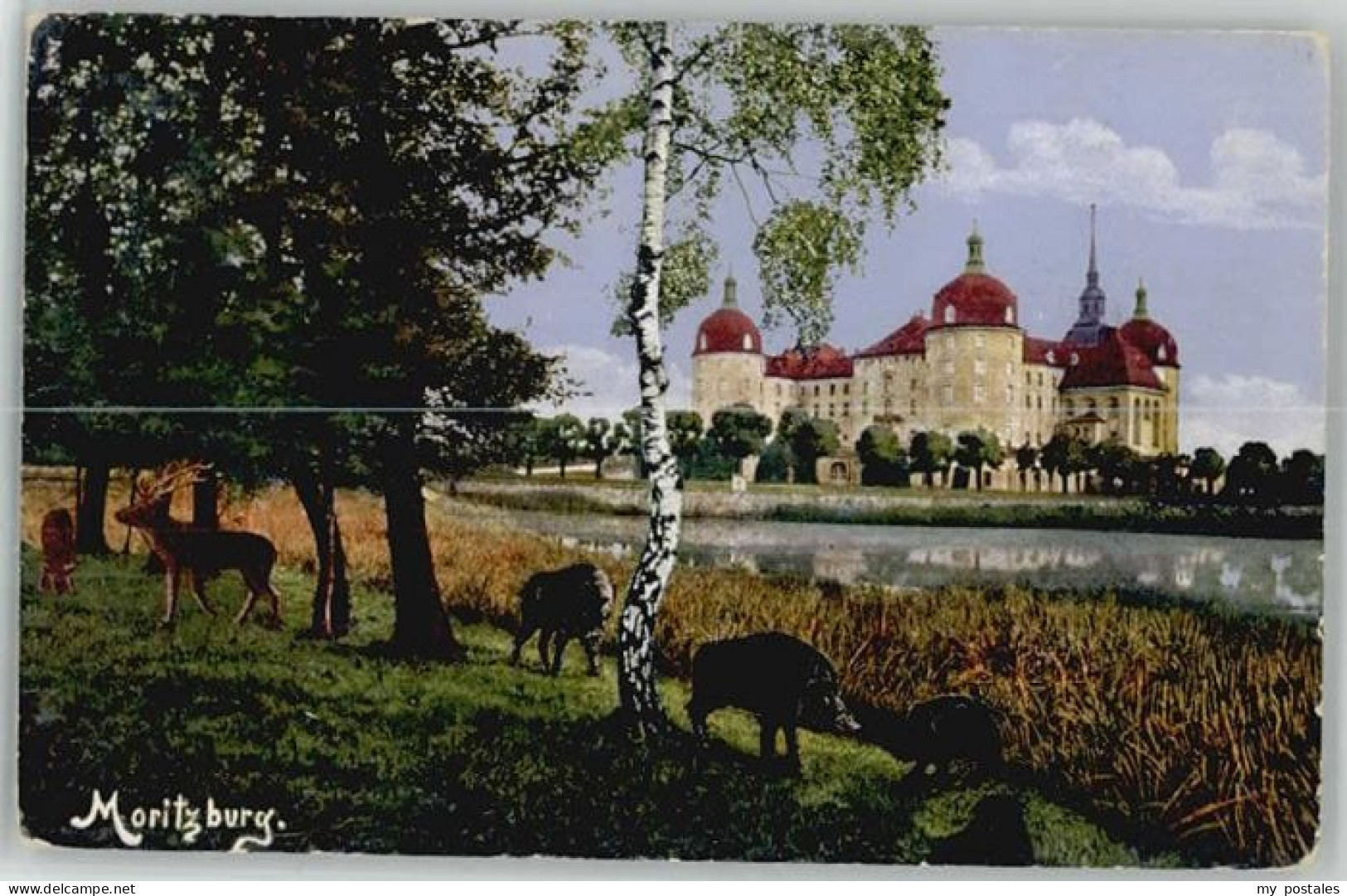 Moritzburg Sachsen Moritzburg Dresden Jagdschloss