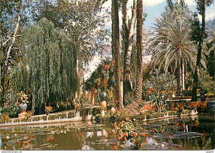 CPM Marrakech Jardin exotique du peintre Majorelle